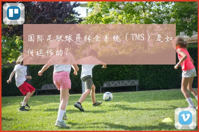 国际足联球员转会系统(TMS)是如何运作的?